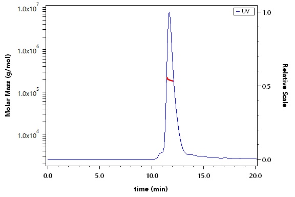 CD45 SEC-MALS
