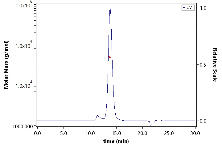 CD155 SEC-MALS