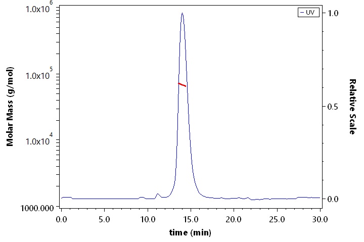 CD36 SEC-MALS