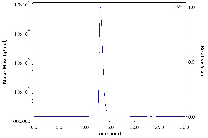 CD206 SEC-MALS
