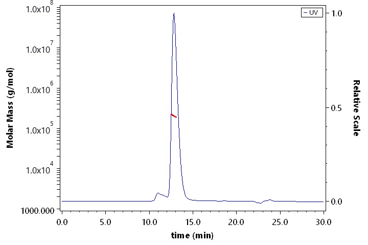 CD206 SEC-MALS