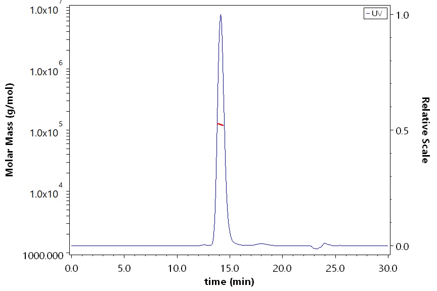 CD117 SEC-MALS