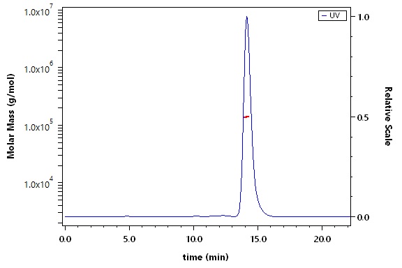 CD38 SEC-MALS