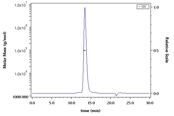 CD38 SEC-MALS