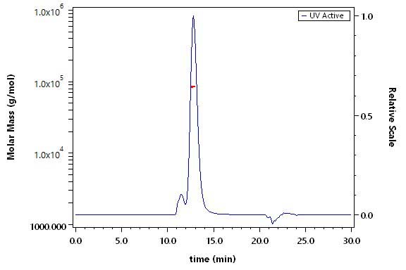 CD38 SEC-MALS