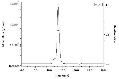 CD19 SEC-MALS