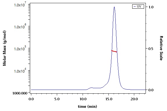 CD39 SEC-MALS