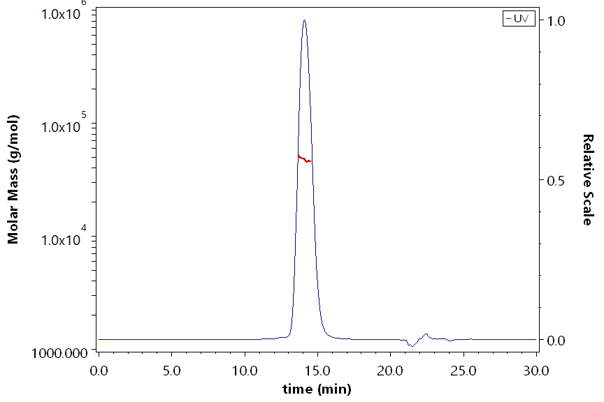 CD19 SEC-MALS
