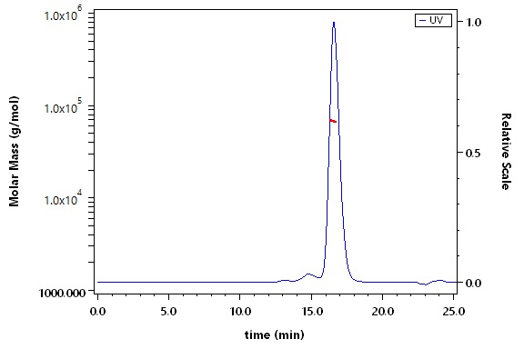 CD39 SEC-MALS