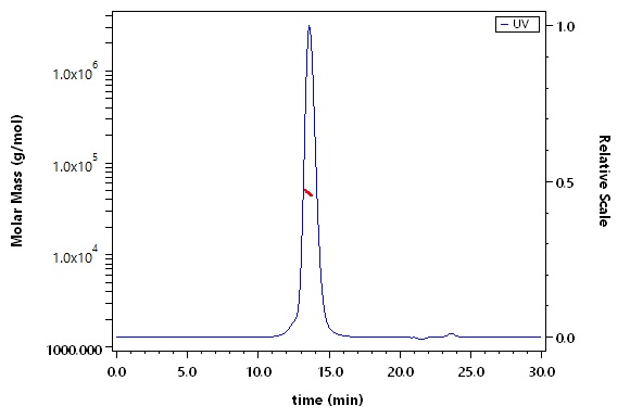 CD19 SEC-MALS