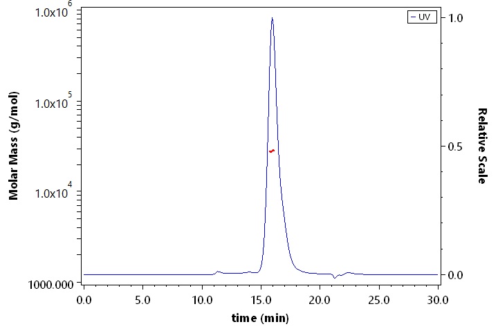 Fc gamma RIIA / CD32a SEC-MALS