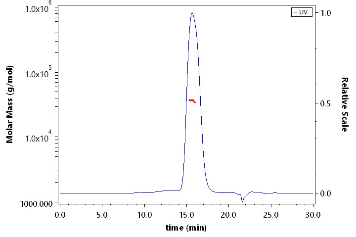 Fc gamma RIIA / CD32a SEC-MALS