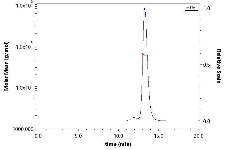 CD8 alpha & beta SEC-MALS