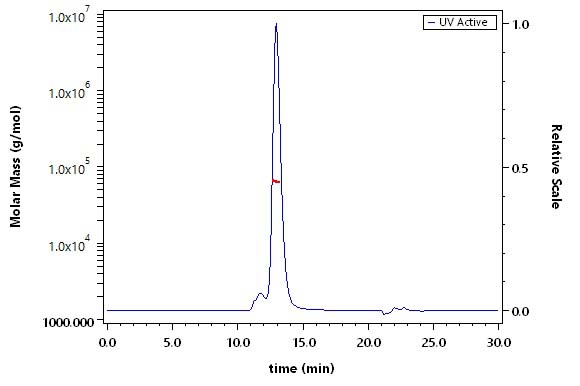 CD8 alpha & beta SEC-MALS