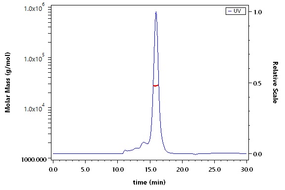 Fc gamma RIIB / CD32b SEC-MALS