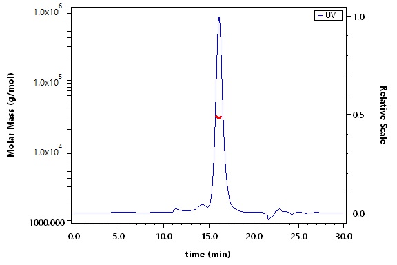 Fc gamma RIIB / CD32b SEC-MALS