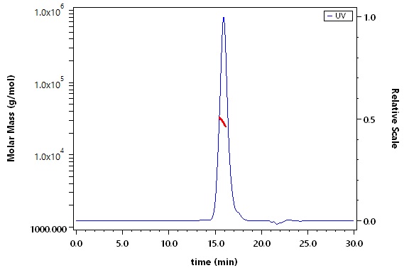 Fc gamma RIIB/C / CD32b/c SEC-MALS