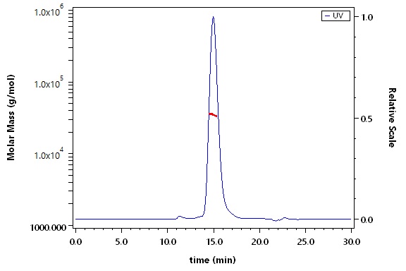 Fc gamma RIIB / CD32b SEC-MALS