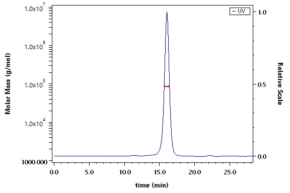 CD3E & CD3D SEC-MALS