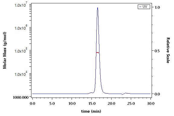 CD3 epsilon SEC-MALS