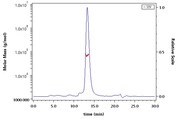 CD30 ligand SEC-MALS