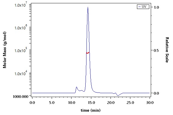 CD27 Ligand SEC-MALS