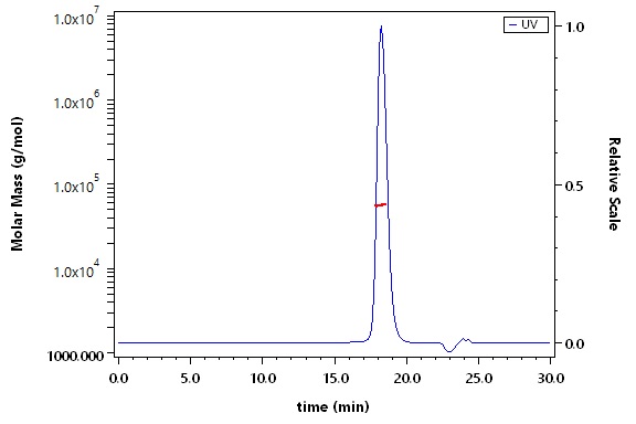 CD40 Ligand SEC-MALS