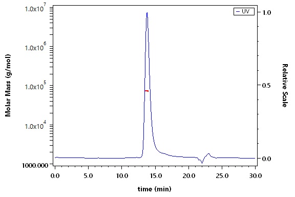 CD27 Ligand SEC-MALS
