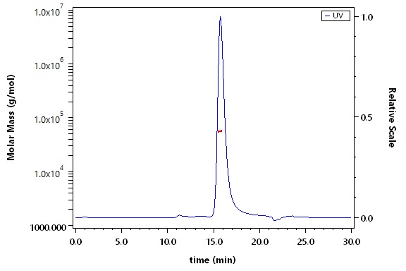 CD40 Ligand SEC-MALS