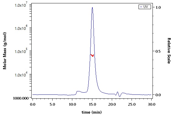CD40 Ligand SEC-MALS