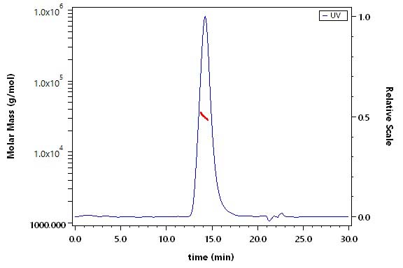 CEACAM-5 SEC-MALS