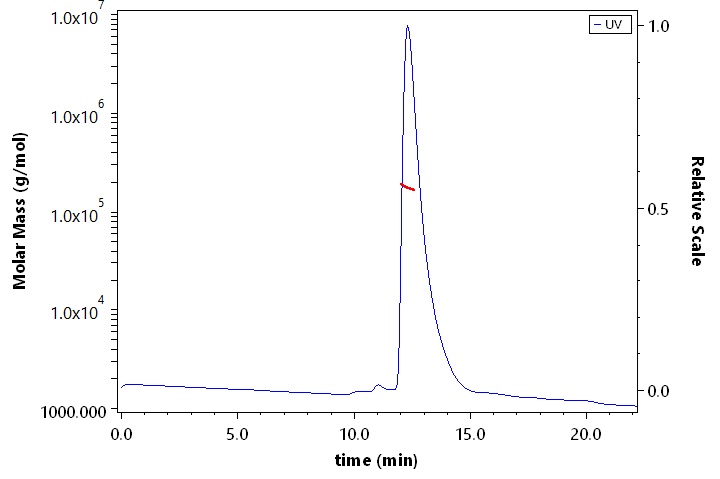 CEACAM-5 SEC-MALS