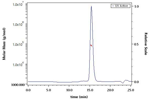 Complement C1s-1 SEC-MALS