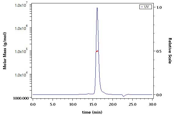 Complement C2 SEC-MALS