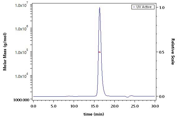 Complement C2 SEC-MALS