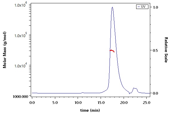 Capsid protein p24/Gag p24 (HIV) SEC-MALS