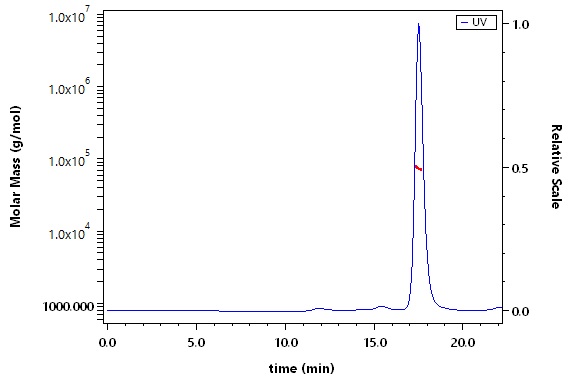 Serum Albumin SEC-MALS