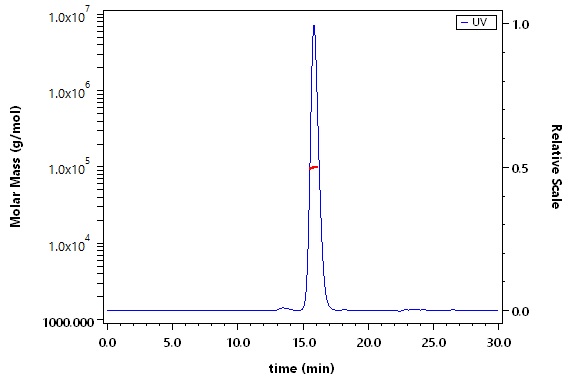 CTLA-4 SEC-MALS
