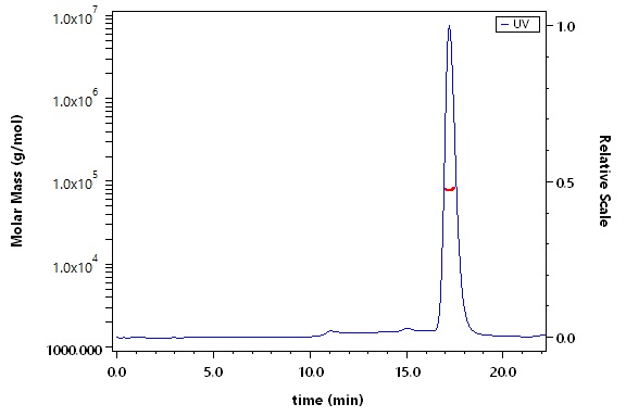 Serum Albumin SEC-MALS
