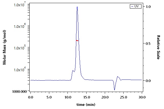 E-Cadherin SEC-MALS