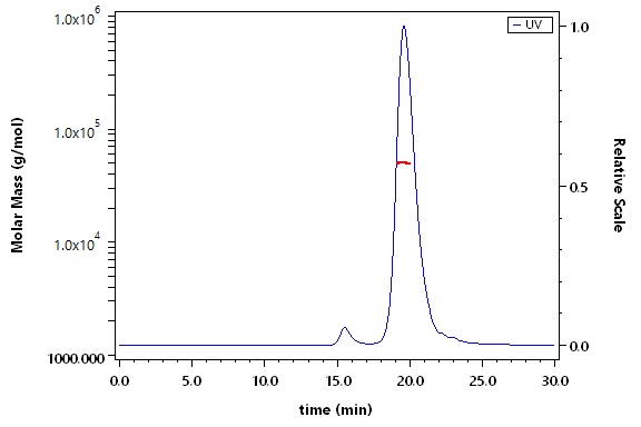 Envelope protein E/E protein (JEV) SEC-MALS