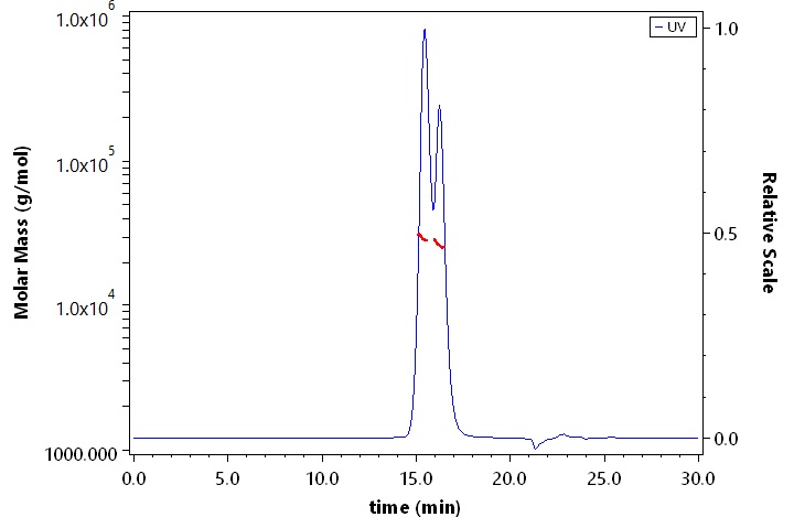 Erythropoietin R SEC-MALS