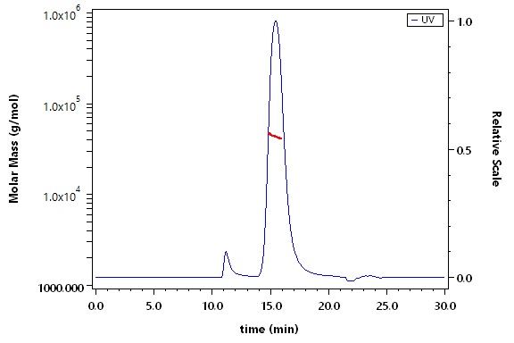 Fc gamma RI / CD64 SEC-MALS