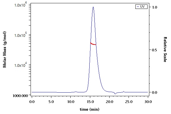 Fc gamma RI / CD64 SEC-MALS