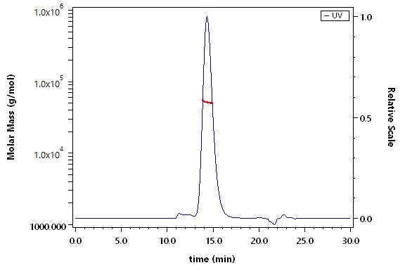 Fc gamma RI / CD64 SEC-MALS