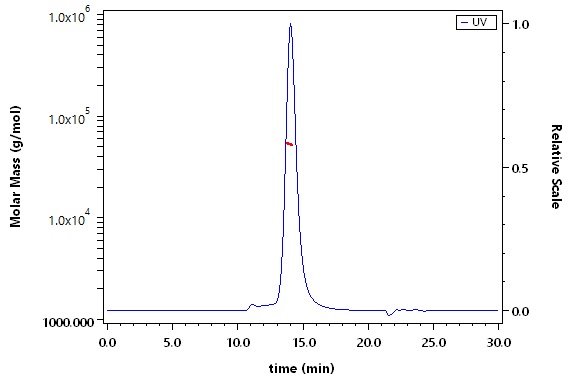 Flt-3 Ligand SEC-MALS