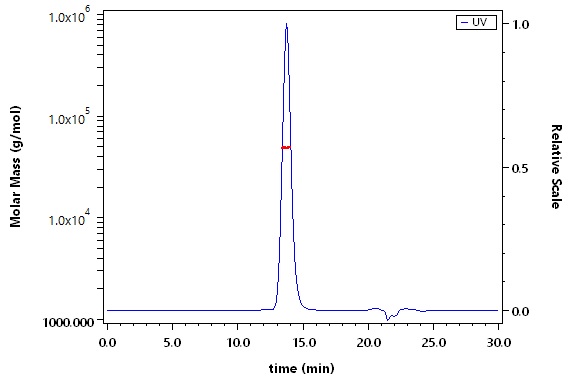 Flt-3 Ligand SEC-MALS