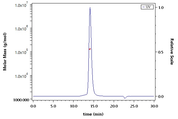 Glycoprotein H & Glycoprotein L/gH & gL (HSV) SEC-MALS