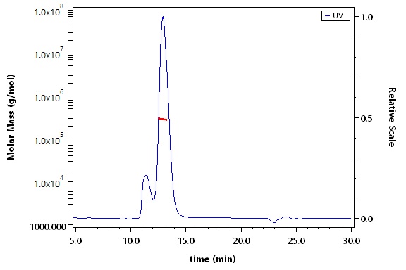 Glycoprotein B/gB (EBV) SEC-MALS