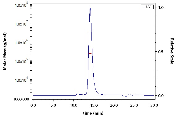 Postfusion glycoprotein B/Postfusion gB (HSV) SEC-MALS